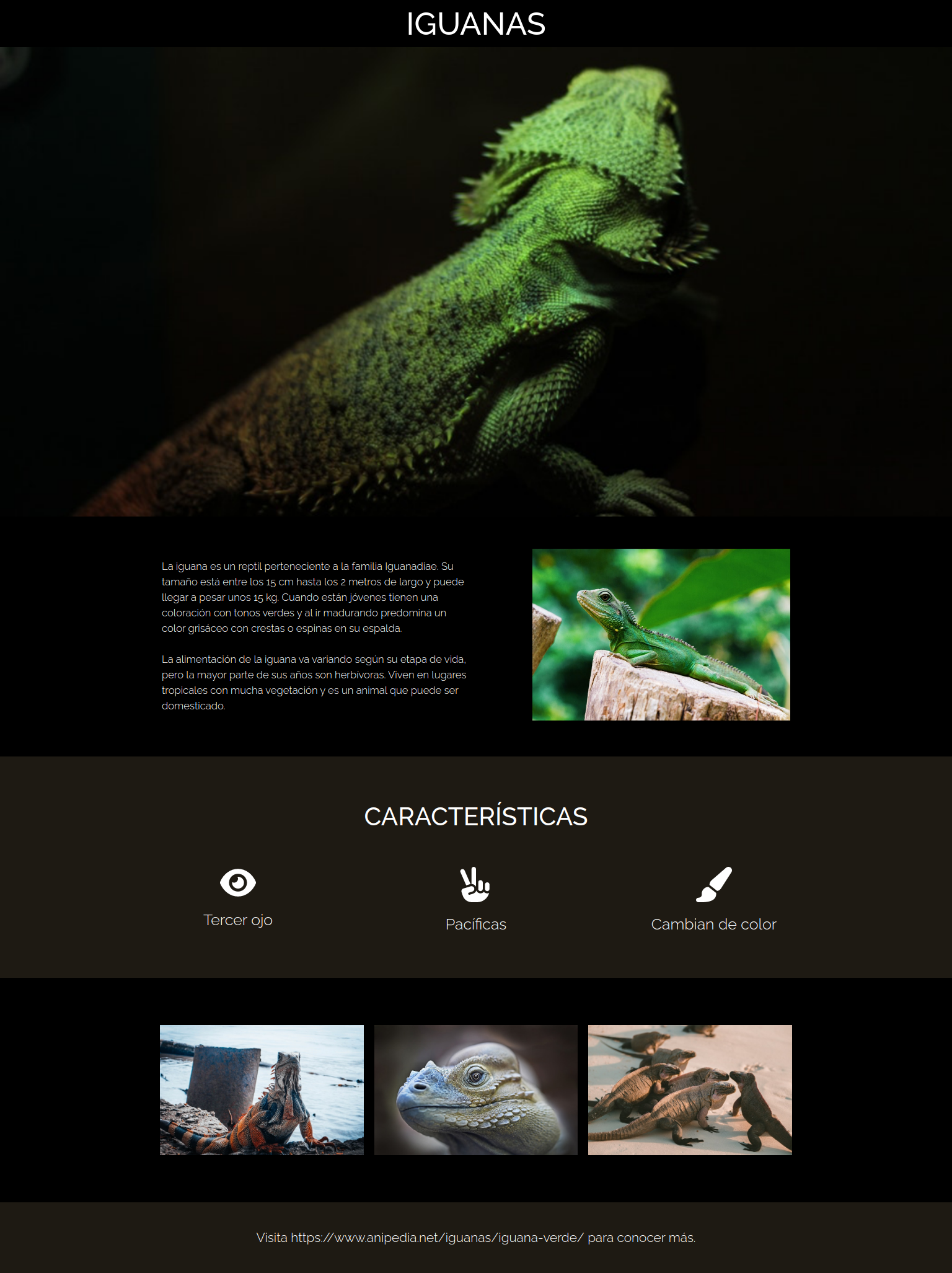 Iguana page